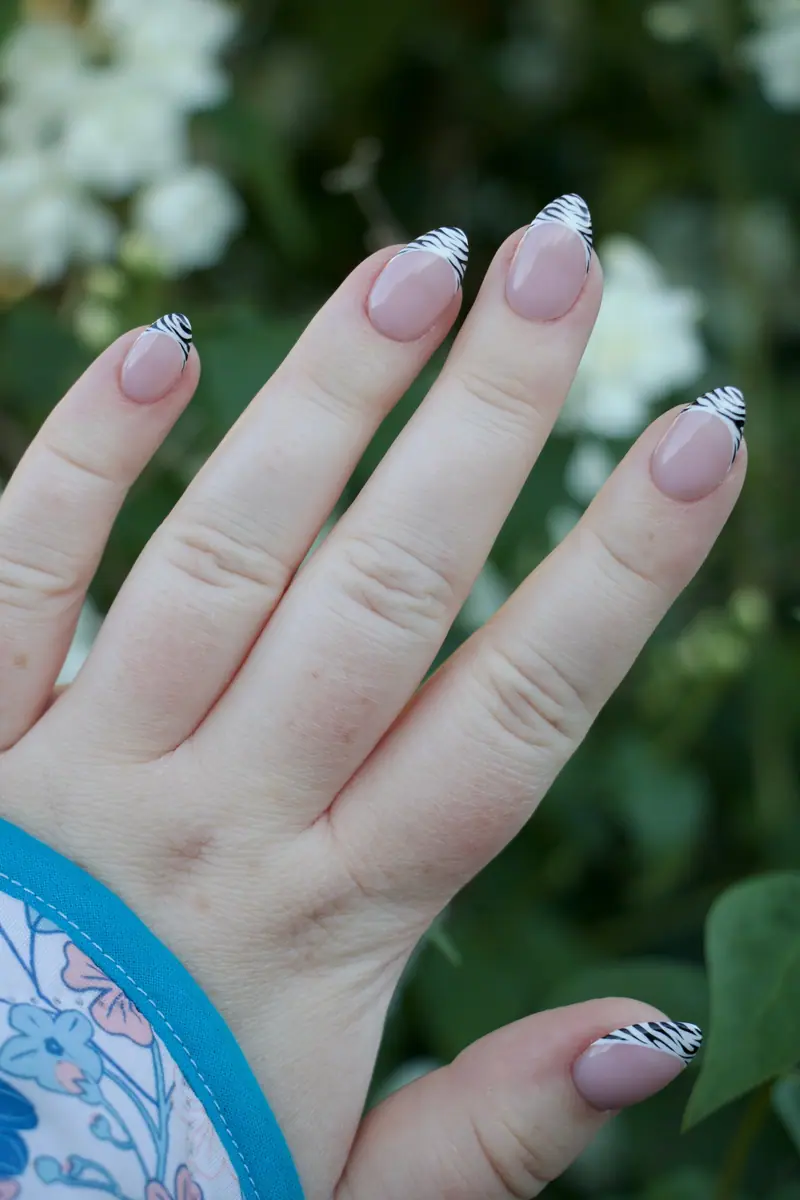 Zebra French – billede 3 af 5