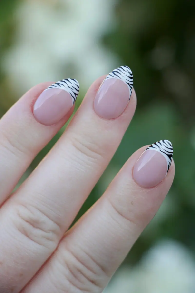Zebra French – billede 4 af 5