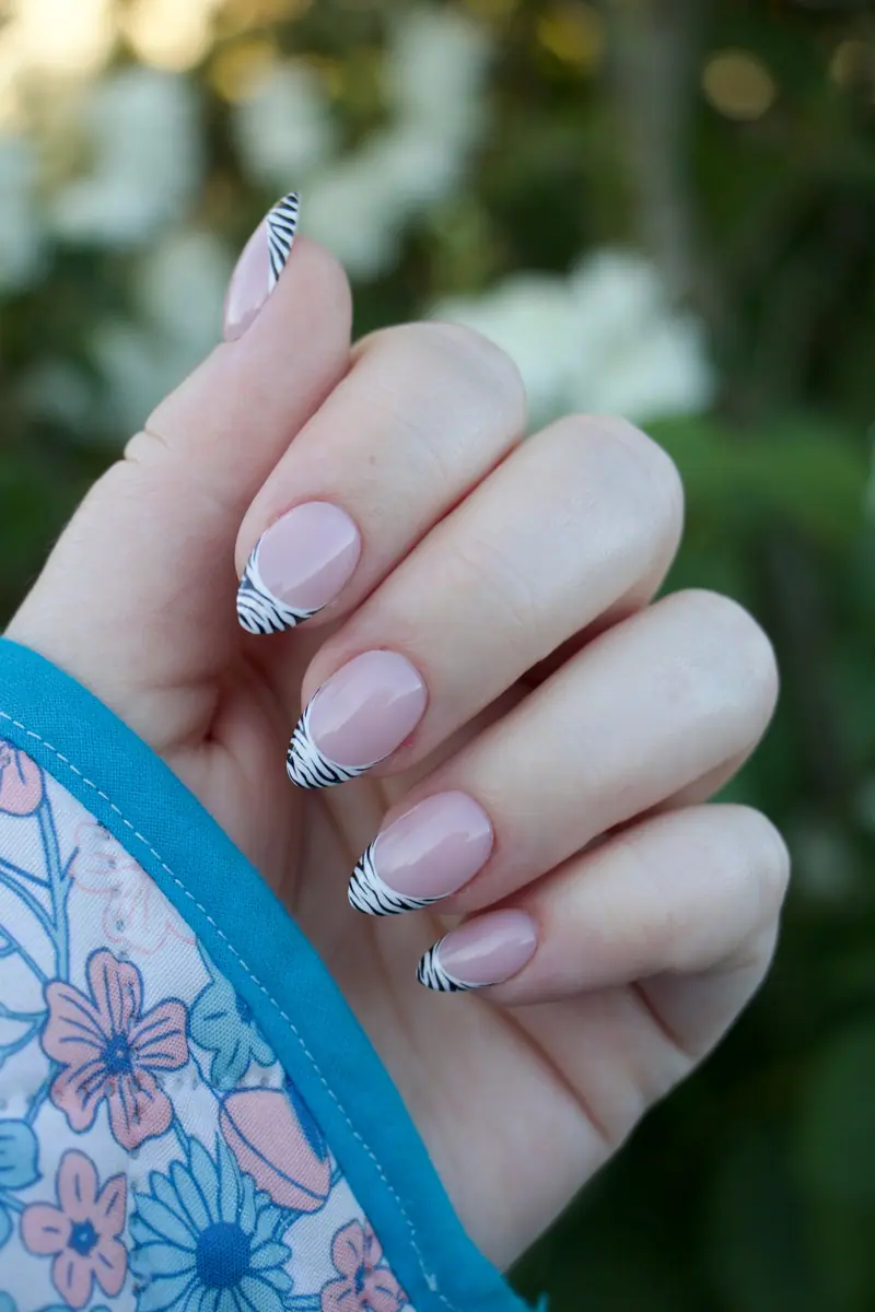Zebra French – billede 5 af 5